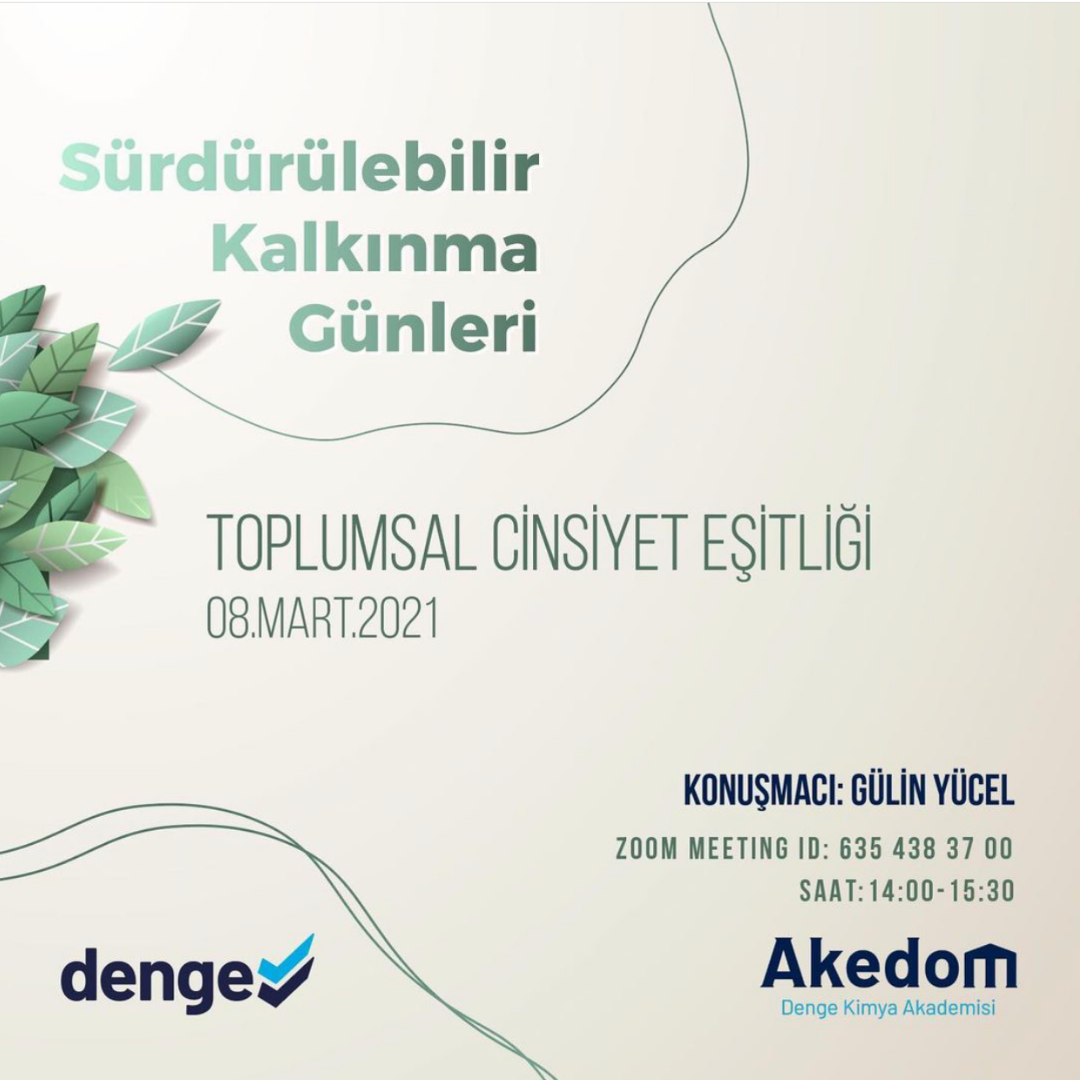 We Held Our Gender Equality Webinar!